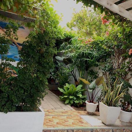 Gardenia House Rent Rooms サンタフェ エクステリア 写真