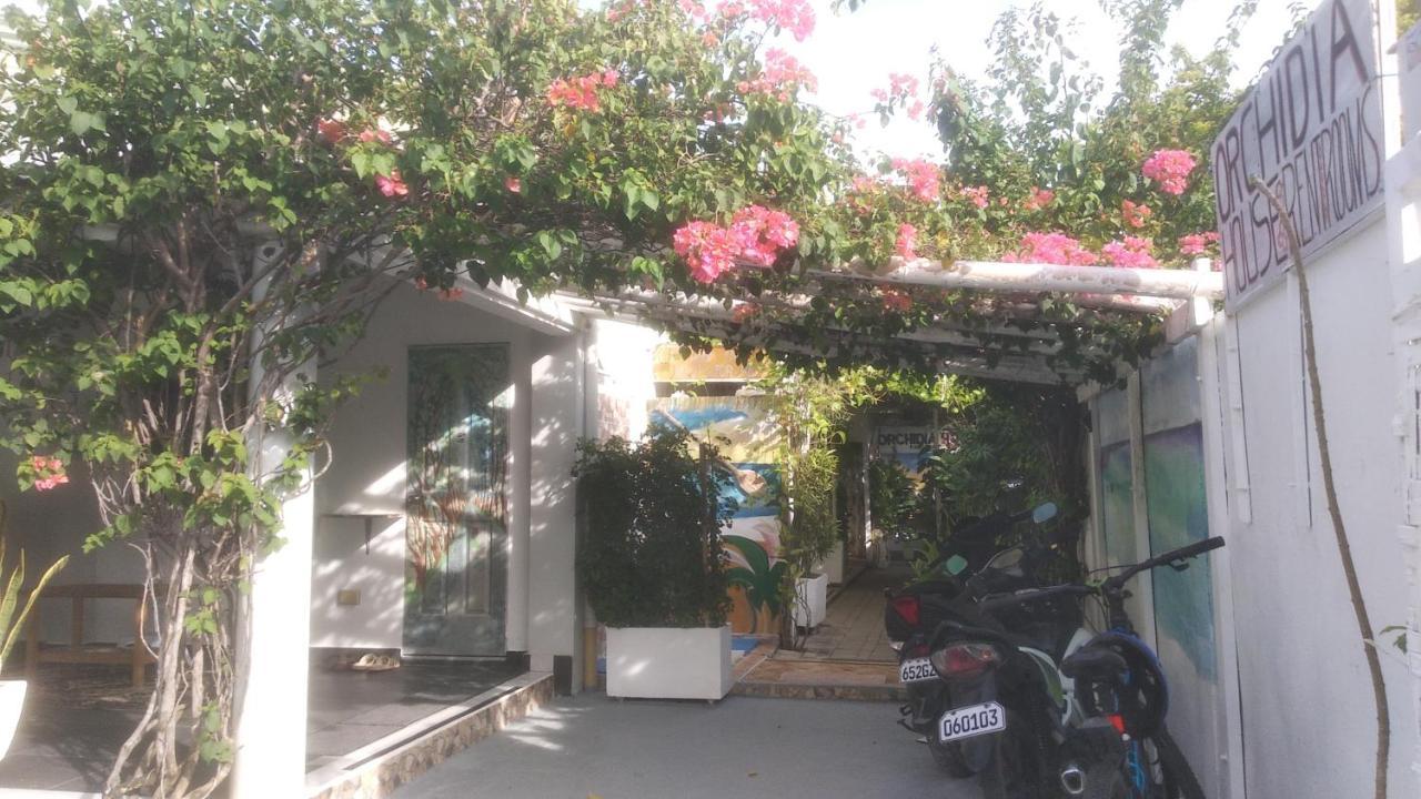 Gardenia House Rent Rooms サンタフェ エクステリア 写真